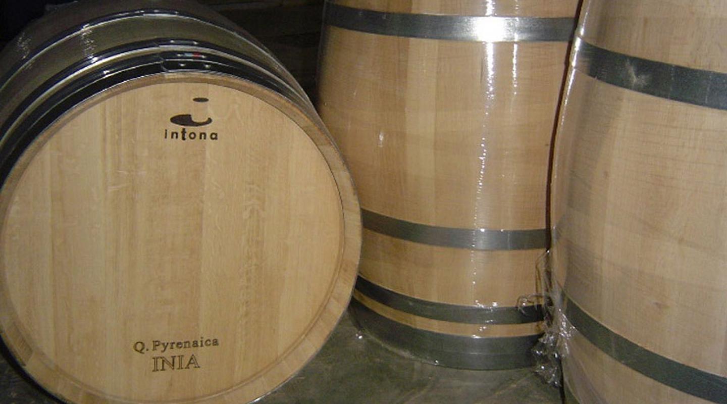 Barricas de Quercus pyrenaica