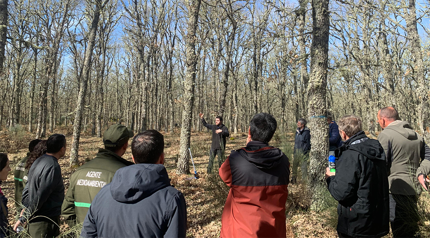 Rebollo Labs Salamanca y Caceres
