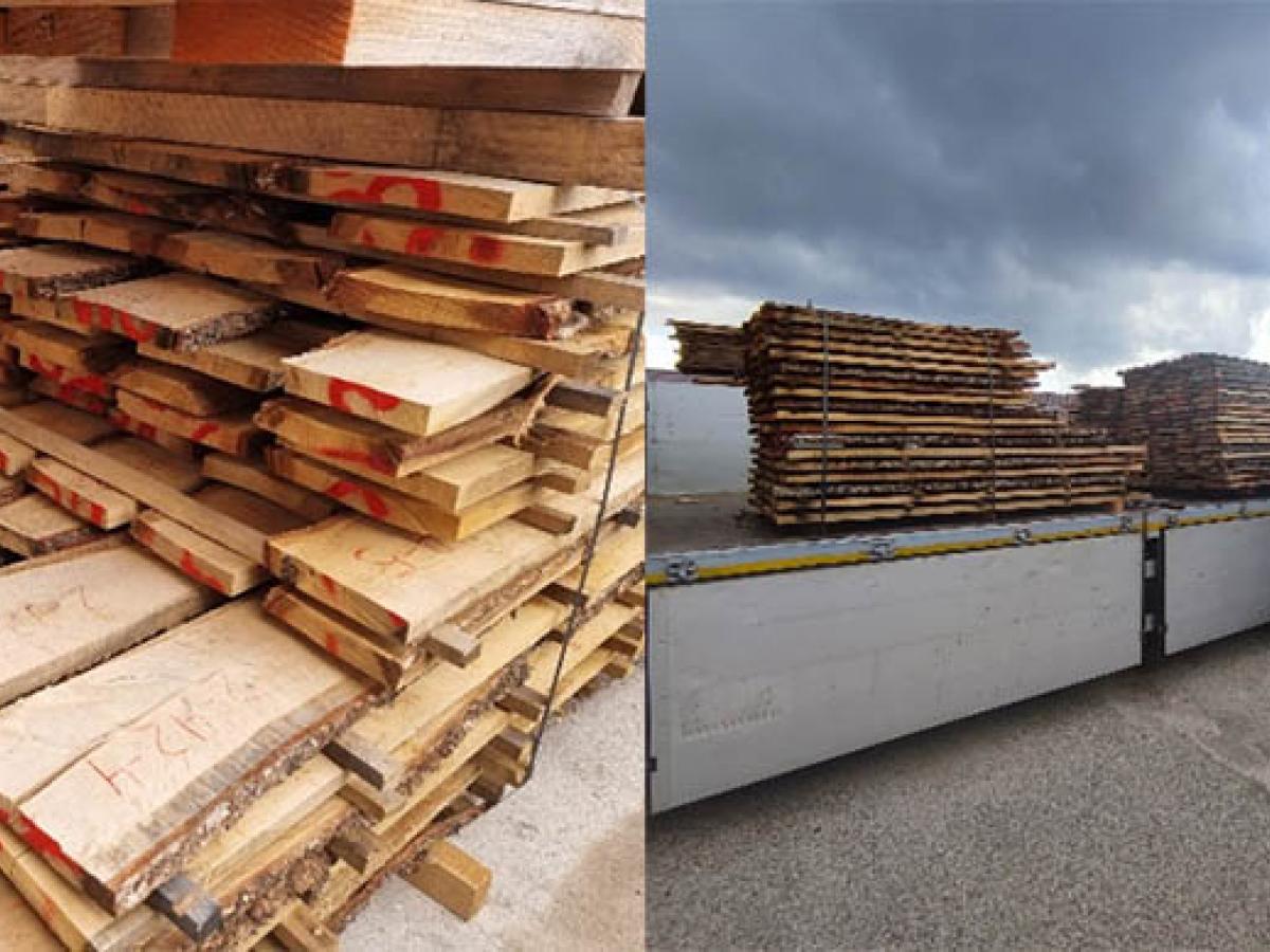 secado de madera del primer rodal 