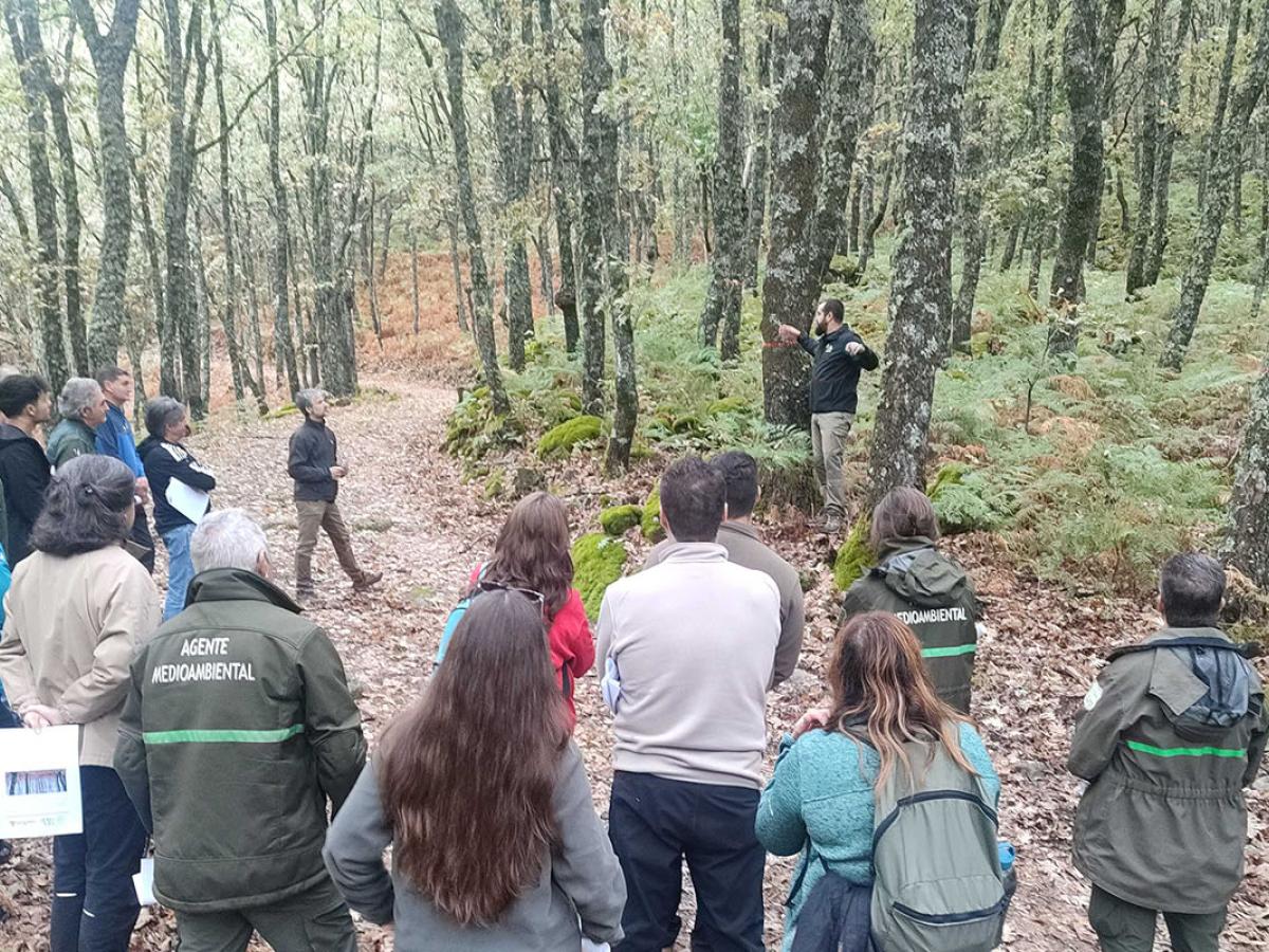 Rebollo Lab Poyales del hoyo